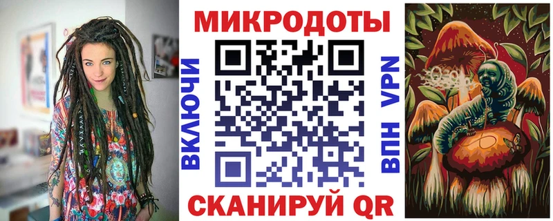 Купить где  Котельнич  Галлюциногенные грибы Psilocybe 